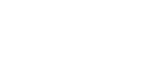 Lir Therapeutics