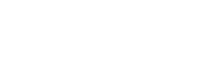 Saisei Ventures